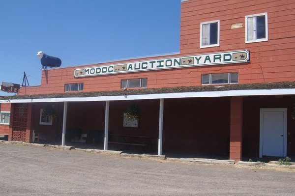 Auction Yard Cafe