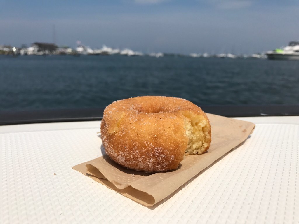 Payne`s Donuts